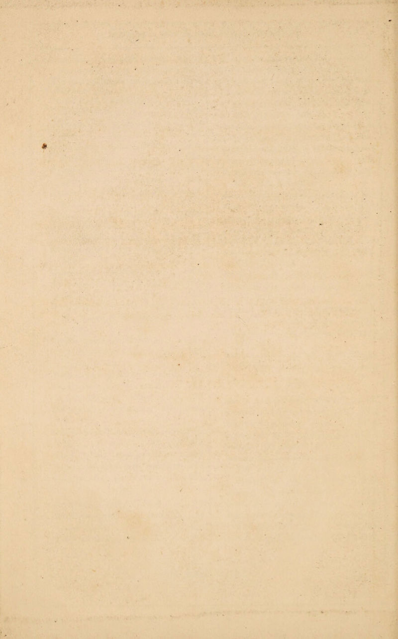 i: '■ ■ * * # < ■ ^ 4 -‘X’ •■st - / \ *