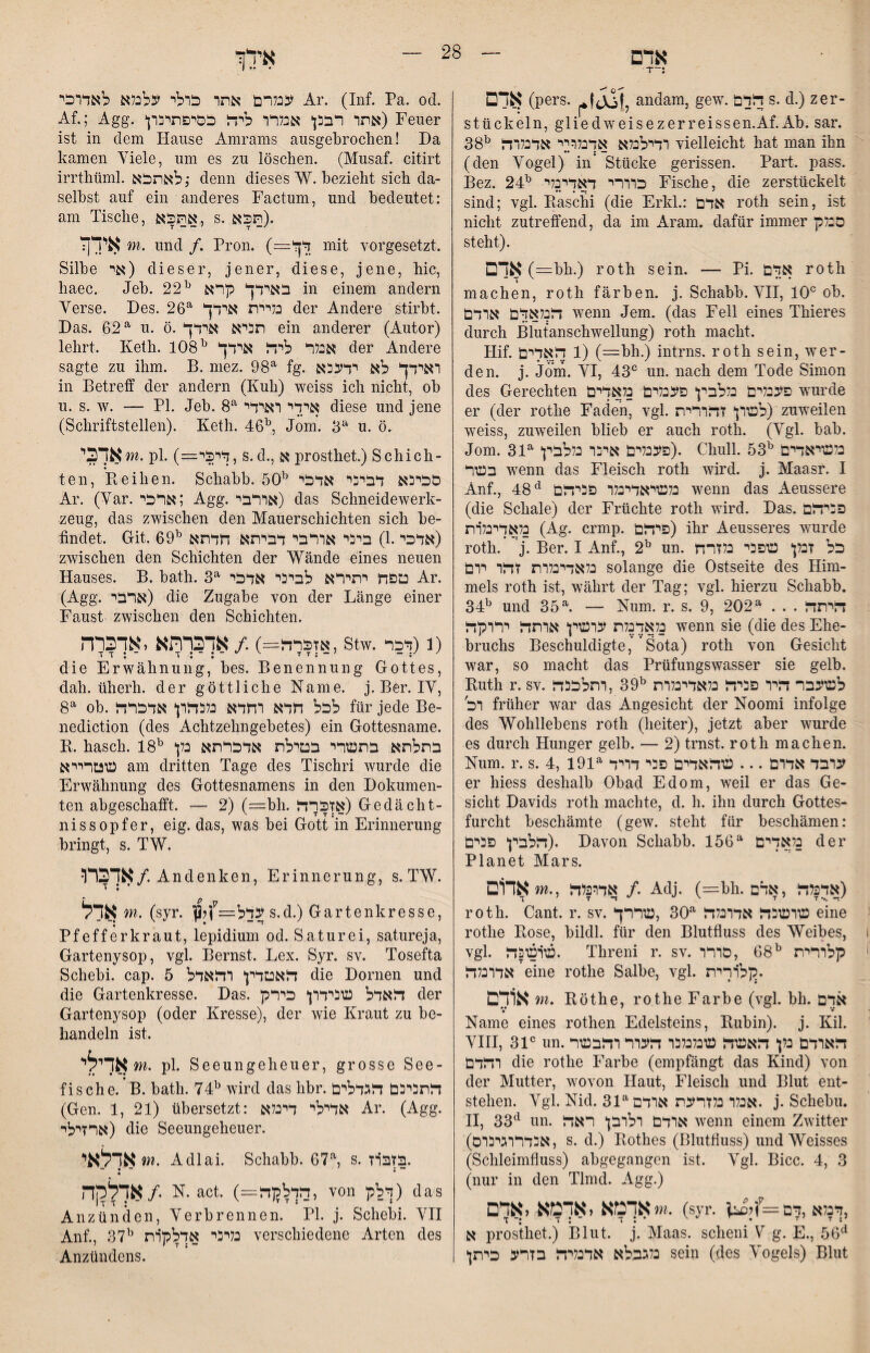 אדם T-; אדם (pers. andam, gew. דודם s. d.) zer- stückeln, gliedweisezerreissen.Af. Ab. sar. 38^ רדילכלא אךנליני אדנלרה vielleicht hat man ihn (den Vogel) in’ Stücke gerissen. Part. pass. Bez. 24^ כרררי דאדינלי Fische, die zerstückelt sind; vgl. Ptaschi (die Erkl.: אדם voth sein, ist nicht zutreffend, da im Aram. dafür immer ס:לק steht). אדם (=hh.) roth sein. — Pi. אדם roth machen, roth färben, j. Schabb. VII, 10° ob. דכלאדם ארדם wenn Jem. (das Fell eines Thieres durch ßlutanschwellung) roth macht. Hif. 1 דאדים) (=:bh.) intms. roth sein, wer- den. j. Jom. VI, 43° un. nach dem Tode Simon des Gerechten פעגלים כללבץ פענלים נלאדים wurde er (der rothe Faden, vgl. לטירן* זהורית) zuweilen weiss, zuweilen blieb er auch roth. (Vgl. bab. Jom. 31^ פענלים איבר נללבץ). Chull. 53^ בלעויאדים בשר wenn das Fleisch roth wird. j. Maasr. I Anf., 48 נלשיאדינלר פניהם wenn das Aeussere (die Schale) der Früchte roth wird. Das. פניהם בלאךינל1ת (Ag. crmp. פיהם) ihr Aeusseres wurde roth. j. Ber. I Anf., 2^ un. כל זכלן* שפני נלזרח כלאדיכלרת זהר ירם solange die Ostseite des Hirn- mels roth ist, währt der Tag; vgl. hierzu Schabb. 34^ und 35 ^ — Num. r. s. 9, 202^ . . . היתה נלאדנלת ערשץ ארתה יררקה wenn sie (die des Ehe- bruchs Beschuldigte,’Sota) roth von Gesicht war, so macht das Prüfungswasser sie gelb. Euth r. SV. לשעבר היר פניה נלאדינלרת ^39 ,רתלכנה רם' früher war das Angesicht der Noomi infolge des Wohllebens roth (heiter), jetzt aber wurde es durch Hunger gelb. — 2) trnst. roth machen. Num. r. s. 4, 191^ ערבד אדרם ... שהאדים פני דריד er hiess deshalb Obad Edom, weil er das Ge- sicht Davids roth machte, d. h. ihn durch Gottes- furcht beschämte (gew. steht für beschämen: הלבץ פנים). Davon Schabb. 156^ נלאדים der Planet Mars. אד1ם m., אדרנלה /. Adj. (=bh. אדפלה ,אדם) roth. Cant. r. sv. שרשנה אדרנלה ^30 ,שררך eine rothe Eose, bildl. für den Blutfluss des Weibes, vgl. שושנה. Threni r. SV. קלררית ^68 ,סררר אדרכלה eine rothe Salbe, vgl. .נ;ןל1ךית אודם m, Eöthe, rothe Farbe (vgl. bh. אדם • • Name eines rothen Edelsteins, Eubin). j. Kil. VIII, 31° un.הארדם כלן* האשה שנלנלנר הערר והבשר רהדם die rothe Farbe (empfängt das Kind) von der Mutter, wovon Haut, Fleisch und Blut ent- stehen. Vgl. Nid. 31^אכלר נלזרעת ארדם. j. Schebu. H, 33*^ un. אודם ולרבן ראה wenn einem Zwitter (אנדרוגינוס, s. d.) Eothes (Blutfluss) und Weisses (Schleimfluss) abgegangen ist. Vgl. Bicc. 4, 3 (nur in den Tlmd. Agg.) ־»אדמא ,אדמא ,אדם.. (syr. ,זינלא ד♦ • TT, א prosthet.) Blut. j. Maas, scheni V g. E., 56^ נלגבלא אדנליה בזרע כיתן sein (des Vogels) Blut אידו ענלרם אתר כרלי עלנלא לאדרכי Ar. (Inf. Pa. od. Af.; Agg. אתר רבנן אכלרר ליה כסיפתינרן) Feuer ist in dem Hause Amrams ausgebrochen! Da kamen Viele, um es zu löschen. (Musaf. citirt irrthüml. לאתכא,• denn dieses W. bezieht sich da- selbst auf ein anderes Factum, und bedeutet: am Tische, אתפלא, s. .(תכא אידןז m, und /. Pron. (^:'דץל mit vorgesetzt. Silbe אי) dieser, jener, diese, jene, hic, haec. Jeb. 22 באידך קרא יי in einem andern Verse. Des. 26^ כליית אידך der Andere stirbt. Das. 62^ u. ö. תניא אידך ein anderer (Autor) lehrt. Keth. 108 אנלר ליה אידך יי der Andere sagte zu ihm. B. mez. 98^ fg. ואידך לא ידענא in Betreff der andern (Kuh) weiss ich nicht, ob u. s. w. — PI. Jeb. 8^ אידי ראידי diese und jene (Schriftstellen). Keth. 46יי, Jom. 3*׳י u. ö. אלכי m. pl.(^::ךיםיב, s. d., א prosthet.) Sch ich- teil, Eeihen. Schabb. 50סכינא דביני אדכי יי Ar. (Var. ארכי; Agg. אורבי) das Schneidewerk- zeug, das zwischen den Mauerschichten sich be- findet. Git. 69אדכי.1) ביבי אורבי דביתא חדתא יי) zwischen den Schichten der Wände eines neuen Hauses. B. bath. 3^ טפח יתירא לביני אדכי Ar. (Agg. ארבי) die Zugabe von der Länge einer Faust zwischen den Schichten. אזכרה=)./ אךכךתא ,אדכרה, Stw. 1 (דכר) die Erwähnung, bes. Benennung Gottes, dah. üherh. der göttliche Name. j. Ber. IV, 8^ ob. לכל חדא רחדא נלנהרן אדכרה für jede Be- nediction (des Achtzehngebetes) ein Gottesname. E. hasch. 18בתלתא בתשרי בטילת אדכרתא כלן יי שטרייא am dritten Tage des Tischri wurde die Erwähnung des Gottesnamens in den Dokumen- ten abgeschafft. — 2) (==bh. אזכרה) Gedächt- nissopfer, eig. das, was bei Gott in Erinnerung bringt, s. TW. ארכת/. Andenken, Erinnerung, s. TW. T • אדל (syr. pלf=עדלs.d.) Gartenkresse, Pfefferkraut, lepidium od. Saturei, satureja, Gartenysop, vgl. Bernst. Lex. Syr. sv. Tosefta Schebi, cap. 5 האטדין רהאדל die Dornen und die Gartenkresse. Das. האדל שנידון כירק der Gartenysop (oder Kresse), der wie Kraut zu be- handeln ist. אדיר m. pl. Seeungeheuer, grosse See- fische. B. bath. 74יי wird das hbr. התניבם הגדלים (Gen. 1, 21) übersetzt: אדילי דינלא Ar. (Agg. ארזילי) die Seeungeheuer. אדלאי«. Adlai. Schabb. 67“, s. .פזב־וז ״ נ “ אדלרןה/. n. act. (== הדלקה , von ולק) das Anzünden, Verbrennen. Pl. j. Schebi. VH Anf., 37נליני אדלמרת יי verschiedene Arten des Anzündens.