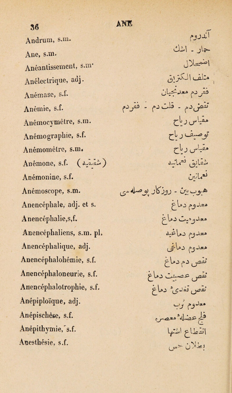 ANE Aodruoi, s.îii. Ane, s.m. Anéantissement, s.m* ÔM - jl^ Anélectrique, adj. • Anémase, s.f. Anémie, s.f. lé* ^ Anémocymètre, s.oi. Anémograpbie, s.f. Anémomètre, s.m* Anémone, s.f. Anémonine, s.f. •* Anémoscope, s.m. Anencépbaîe, adj. et s. J.SA Anencéphalie,s,f. Ânencéphaliens, s.m. pL Anencépbalique, adj. Anencéphalobémie, s.f. Anencéphaloneurie, s.f. Anencépbalotropbie, s.f. Anépiploïque, adj. ^ ‘.Xa,® Anépischèse, s.f. 1 » Anépithymie,”^s.f. P lliS JSj\ Anesthésie, s.f. w ‘ N î 4