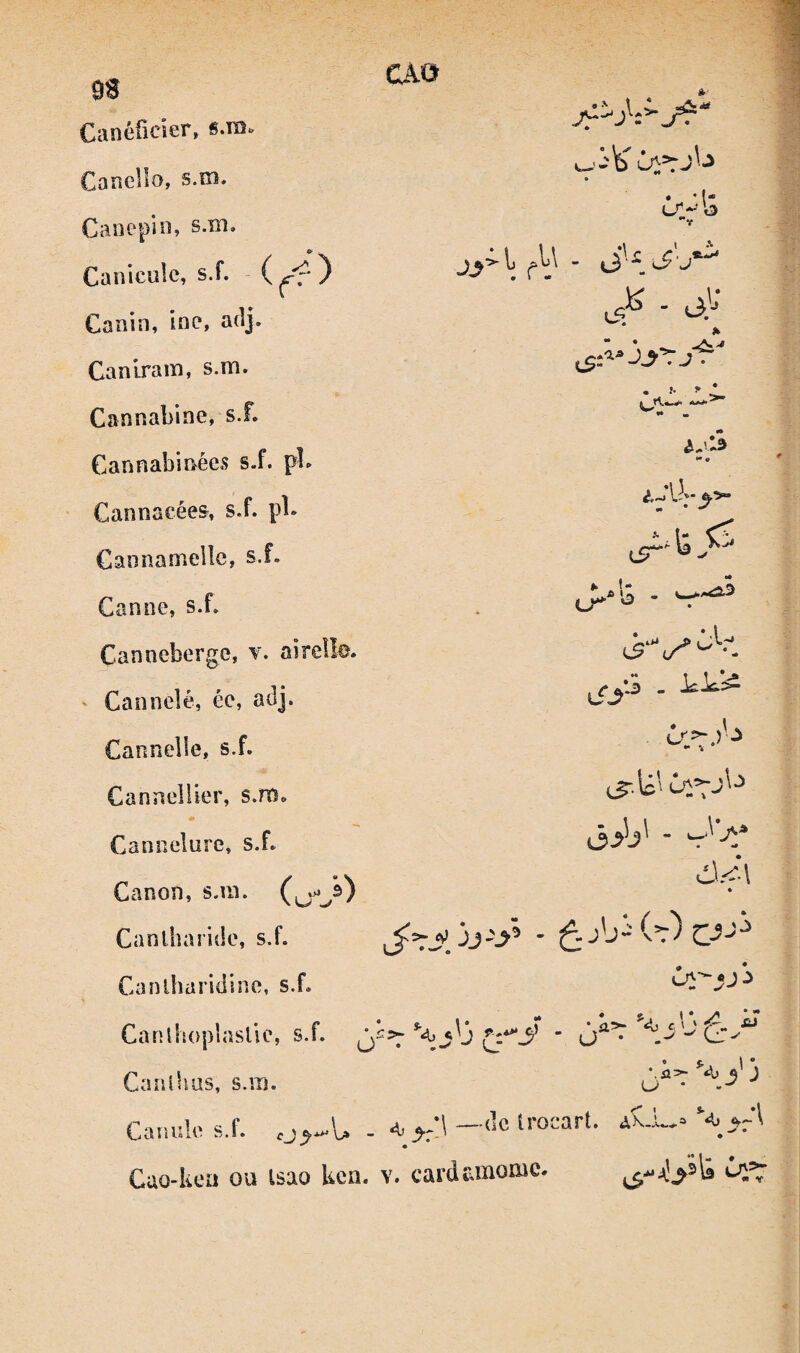 Canéiicîer, s.îïs*' Canello, s.m. Canepio, s.m. Canicule, s.f. - ( ) Canin, ine, adj. Canirana, s.m. Cannabine, s.f. Cannabinées s.f. pî. ' Cannacées, s.f. pl. Cannameile, s.f. Canne, s.f. Canneberge, t. airelle. ' Cannelé, ée, adj. Cannelle, s.f. Canneliier, s.m. CAO • * J- b •^v - (J.'- » rr* la ► .!- A \, cT-U' Cannelure, s.f. Canon, s.m. •• Cantharide, s.f. Canlharidine, s.f. » Canlhoplaslie, s.f. Canlhus, s.m. ^i=7'4.y 3 Canule s.f. —<^c f «sart. iK.L,. Cao-keu ou isao ken. v. cardEmonic. O'^