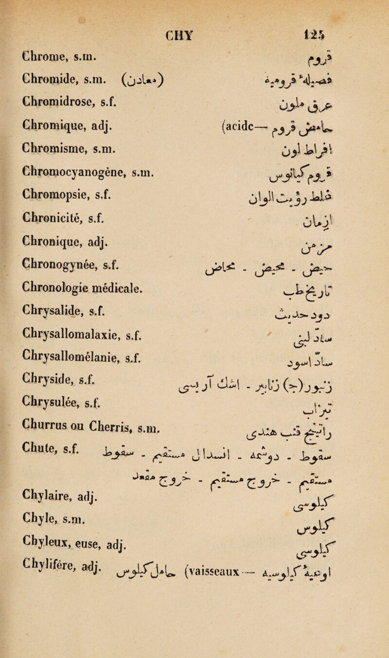 CHY ilh Chrome, s.m. Chromide, s.m. (jjU^) Chromidrose, s.f. Chromique, adj. (acide— ^ ^*U Chromisme, s.m. Chromocyanogène, s.m. Chromopsie, s.f. Chronicité, s.f. üUj' Chronique, adj. Chronogynée, s.f. Chronologie médicale. Chrysalide, s.f. Chrysallomalaxie, s.f. üJu Chrysallomélanie, s.f. Ù0 Chryside, s.f. <S' -l (^) j^j Chrysulée, s.f. (. - U-»' Churrus ou Cherris, s.m. • ^ J.Ia Chute, s.f. V-I— (_j i^wj| _ » y» m TT 1_ 1 • • ■ - f.*-** Chyle, s.m. Chyleux, euse, adj. Chylifère, adj. (vaisseaux —