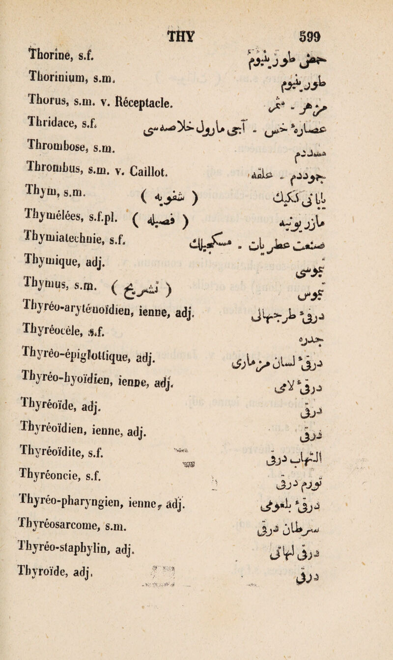 TH Y thorioe, s.f. Tliorinium, s.m, Thorus, s.in. v. Réceptacle. Thridace, s.f* Thrombose^ s.m. Thrombus, s.in. y. Caillot • J*' ♦ I ‘ . s .1. ■ J‘y Thym, s.m. ( y Thymélées, s.f.pl. ( y Tbymiatechuie, s.f, .«jj.X Thymique, adj. Thymus, s.m. ( y Thyréo-aryténoïdieu, ienne, adj. ThyréotèJe, iS.f, Thyrêo-épiglüllique, adj. Thyréo-hyoïdieu, ienne, adj. Thyrêoïde, adj. Thyréoidien, ienne, adj. ïhyréoïdite, s.f. ThyréoDcie, s.f. Thyréo-pharyngien, ienncyâdj. Thyréosarcome, s.m. Tbyréo-staphylin, adj. Thyroïde, adj. ■ i ij l'j M «/ u“.>r ■m ■W , tf-;' '•■.i.sï-'.-ÿ jU JjJ jj-i « * ^ üVip