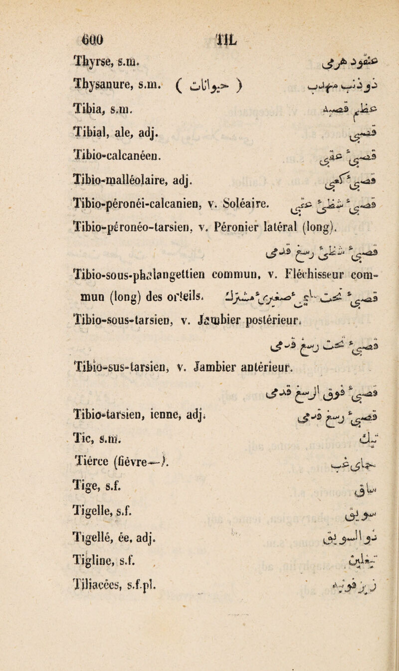 Thy^anure, s.m. ( Tibia, s.m. f Tibial, ale, adj. ïibio“calcanéeu. Aé » Tibio-malléolaire, adj. Tibio-péronéi-caîcaDien, v. Soléaire. ^ ^ fi Tibio-péronéo-tarsien, v. Péronier latéral (long). Tibio-sous-pfe^langettien commun, v. Fléchisseur com« mun (long) des orî^jils* /î» f. & ♦ t ^ è “ •*s>^ S .| -«.-*» - ^ Tibio-sous-tarsien, v. J^mbier postérieur. -1 Tibio^sus*tarsien, v. lambier antérieur. Tibio^tarsien, ienne, adji ^^J.9 Tic, s.tii. 4 î « '«i Tiérce (fièvre^). Tige, s.f. <3^ Tigelle, s.f. Tigellé, ée, adj. Tigline, s.f. A l * ** U^Xm^ ïiliaçées, s.fpL