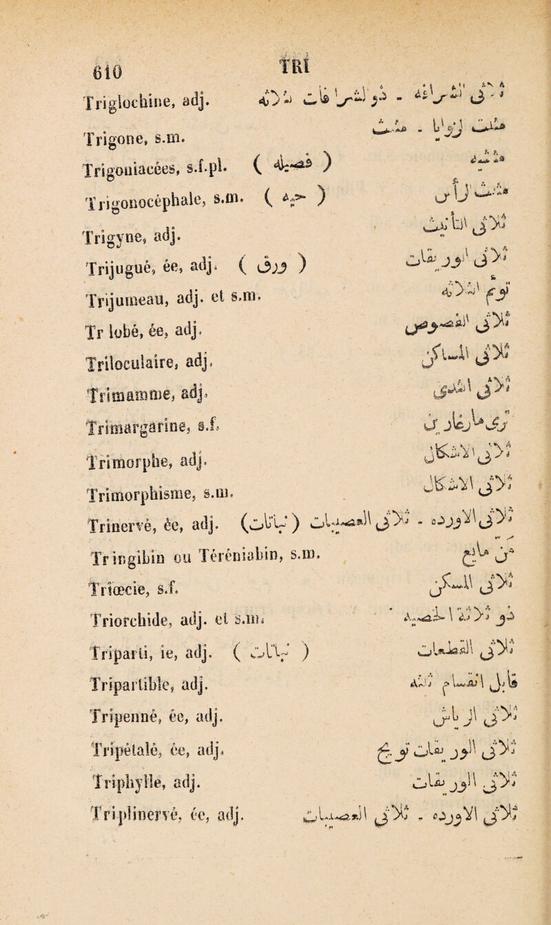 •* \^ \  \ y J ^ Triglochine, adj. frlgone, s.îb. Trigoüiacées, sÂ.fl ( 4-^^ ) l'j’igoKOcéphale, s.in. ( àf>- ) Trigyne, adj. Trijiigué, ée, adj* ( (3;j ) Trijumeau, adj. et s.m. Tr lobé, ée, adj. Trüocülaire, adj. Trimamme^ adj. -M’ô * « * 11 AN A ^*1'^ t3 ' ^ . •• a U' Jb 11 ^0 AN 'A oVijyj>* & Ui ^ ■M.0Î .. J.i A w X ^'f’î ., Y\ ‘•V'^ Trimorphisme, s.ui. Trinervè, éc, adj. (o^V) TriiJgihiü ou Térèniobin, s.m. T* S.i* Triorchide, adj. et s.îUi Triparti, ie, adj. ( ) Tripariible, adj. Tripenné, ée, adj. Tripétalé, ée, adj. îripliyHe, adj. TripîiiierTé, éc, adj. - oj^Vl G G jh^i\ jy' fcvy.) \ ^jIs y L ji, »♦ !i