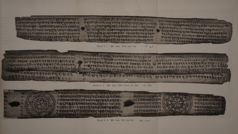 Plate I. 1. MS. Add. 1702, leaf [19]. ^ WS£0$. iiW ttq^f *ra*$Wl V*SN*$*« fj s*#,^ii^3$(f %srq-j|-||{ij truthsd&Sj’Ao f^^l-^^^'***** sis W& m*-