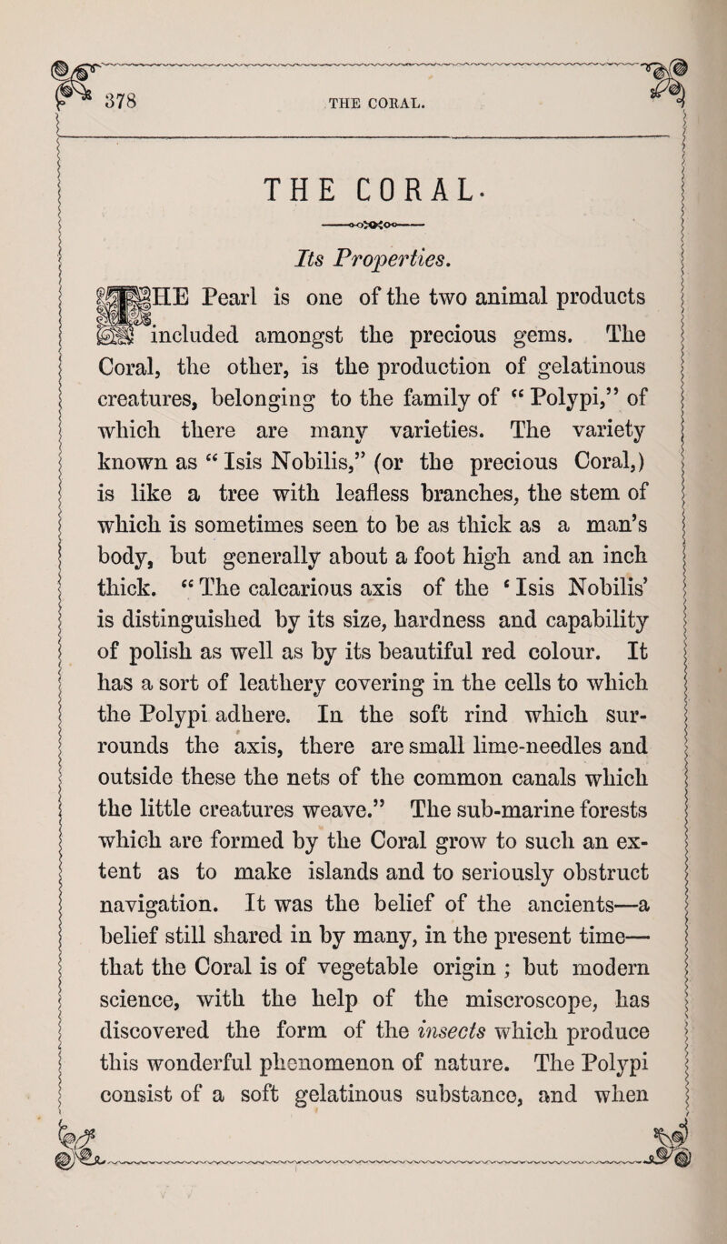 THE CORAL. Its Properties, |HE Pearl is one of the two animal products included amongst the precious gems. The Coral, the other, is the production of gelatinous creatures, belonging to the family of “ Polypi,” of which there are many varieties. The variety known as “ Isis Nohilis,’' (or the precious Coral,) is like a tree with leafless branches, the stem of which is sometimes seen to be as thick as a man’s body, but generally about a foot high and an inch thick. “ The calcarious axis of the ‘ Isis Nobilis’ is distinguished by its size, hardness and capability of polish as well as by its beautiful red colour. It has a sort of leathery covering in the cells to which the Polypi adhere. In the soft rind which sur- rounds the axis, there are small lime-needles and outside these the nets of the common canals which the little creatures weave.” The sub-marine forests which are formed by the Coral grow to such an ex¬ tent as to make islands and to seriously obstruct navigation. It was the belief of the ancients—a belief still shared in by many, in the present time— that the Coral is of vegetable origin ; but modern science, with the help of the miscroscope, has discovered the form of the insects which produce this wonderful phenomenon of nature. The Polypi consist of a soft gelatinous substance, and when