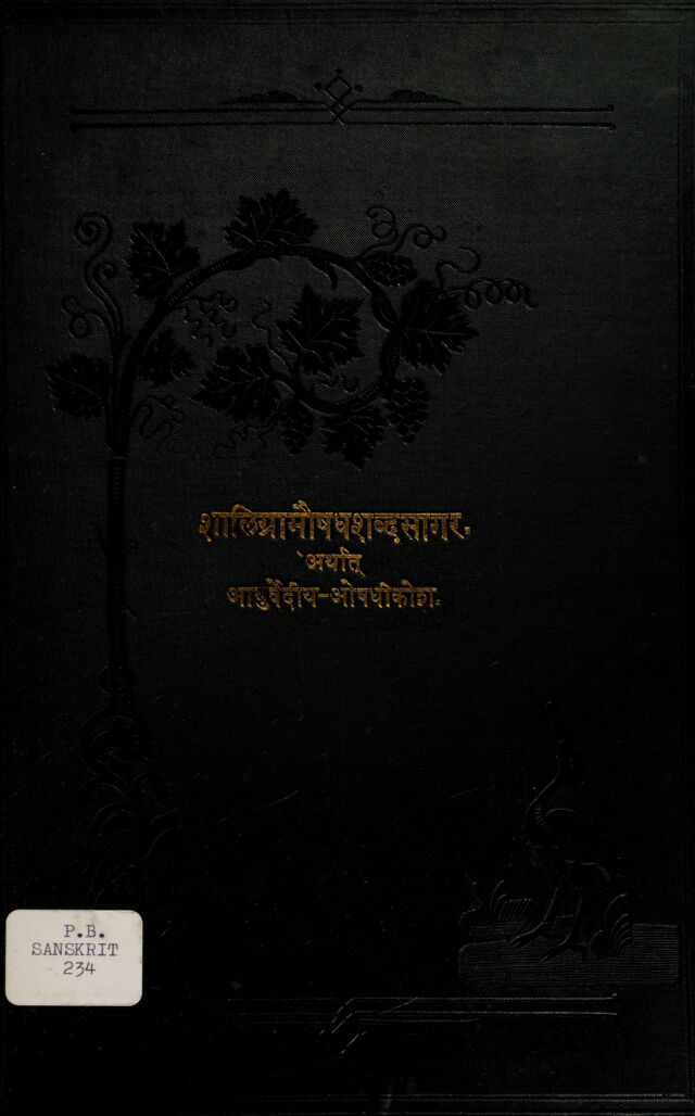 digitised image 1