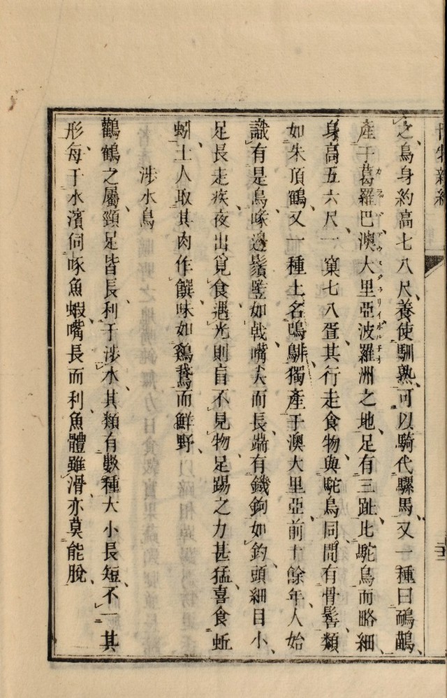 digitised image 3