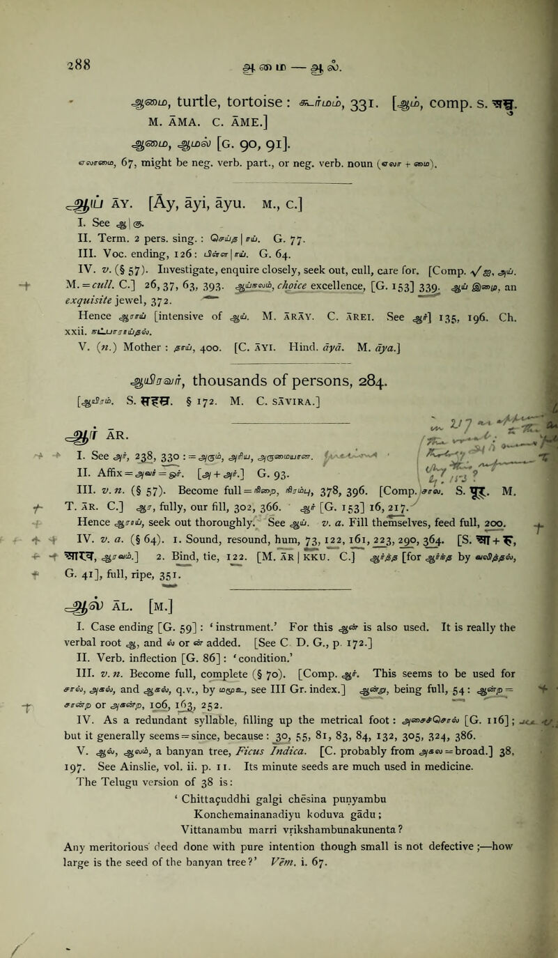 turtle, tortoise : rnoi, 331. [.^m, comp. s. M. AMA. C. AME.] ^losl) [g. 90, 91]. ereotranui, 67, might be neg. verb, part., or neg. verb, noun {sresir 4- earn). ^(U ay. [Ay, ayi, ayu. m., c.] I- See 4i|@. II. Term. 2 pers. sing. : Q&ilj/s \ nil. G. 77. III. Voc. ending, 126: lSAot | iruj. G. 64. IV. v. (§57). Investigate, enquire closely, seek out, cull, care for. [Comp. =sy“j. M. = «<//. C.] 26, 37, 63, 393. wi, c/wzVe excellence, [G. 153] 339. ©otjs, an exquisite jewel, 372. Hence ^j/nu [intensive of M. aray. C. arei. See 135, 196. Ch. xxii. RiL.utnjinu&'sv. V. (n.) Mother : 400. [C. ayi. Hind, dyd. M. #)/£.] ^uSIvsviT, thousands of persons, 284. b. S. § 172. M. C. SAVIRA.] VJ ^ f /r3 • AR. -A ‘ I. See 238, 330 :=^©“, ^y/fliu, C ' «■ II. Affix = ^a/f = g>/r. [^ + <°yif.] G. 93. III. z/.«. (§ 57). Become full = rfjiiy, 378, 396. [Comp.wi/. S. t|J. M 7*- T. ar. C.] fully, our fill, 302, 366. [G. 153] 16, 217. ' Hence seek out thoroughly. See ^«j. z/. a. Fill themselves, feed full, 200. «f- q IV. v. a. (§ 64). 1. Sound, resound, hum, 73, 122, 161, 223, 290, 364. [S. ^1+^, -t ’sni^r, 2. Bind, tie, 122. [M. ar | kku. C.] [for by a/eJ>AA™i * G. 41], full, ripe, 351. AL. [M.] I. Case ending [G. 59] : ‘ instrument.’ For this is also used. It is really the verbal root and «or» added. [See C D. G., p. 172.] II. Verb, inflection [G. 86]: ‘condition.’ III. v. n. Become full, complete (§ 70). [Comp. This seems to be used for ■yfl-eu, and q.v., by u&oa-, see III Gr. index.] 44*^, being full, 54: ^eirp = eiranp or 106, 163, 252. IV. As a redundant syllable, filling up the metrical foot: [G. 116]; j<x -ts \ but it generally seems = since, because : 30, 55, 81, 83, 84, 132, 305, 324, 386. V. 4£tv, <^euia, a banyan tree, Ficus Indica. [C. probably from .jyasu —broad.] 38, 197. See Ainslie, vol. ii. p. 11. Its minute seeds are much used in medicine. The Telugu version of 38 is: ‘ Chittafuddhi galgi chesina punyambu Konchemainanadiyu koduva gadu ; Vittanambu marri vrikshambunakunenta ? Any meritorious deed done with pure intention though small is not defective ;—how large is the seed of the banyan tree?’ Vem. i. 67.