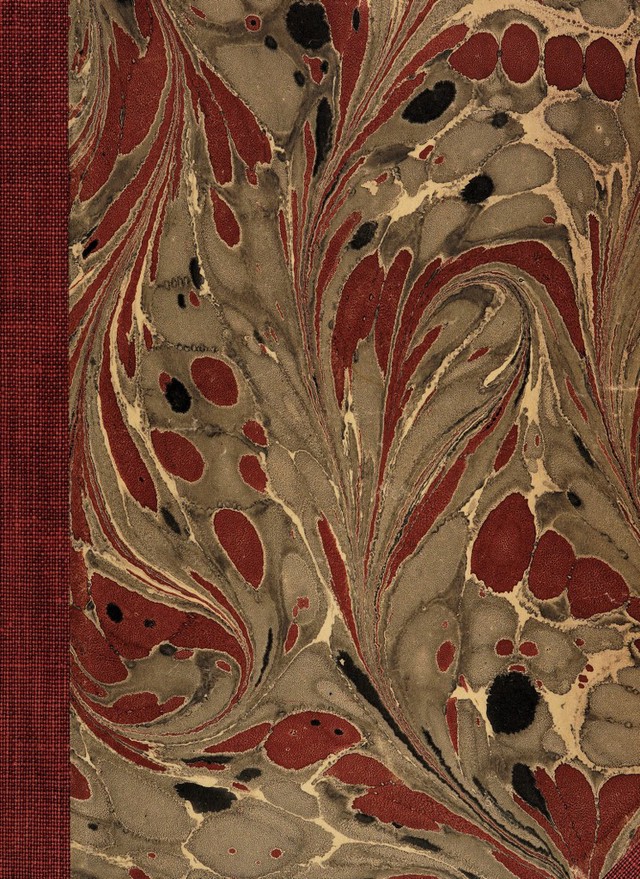 No text description is available for this image