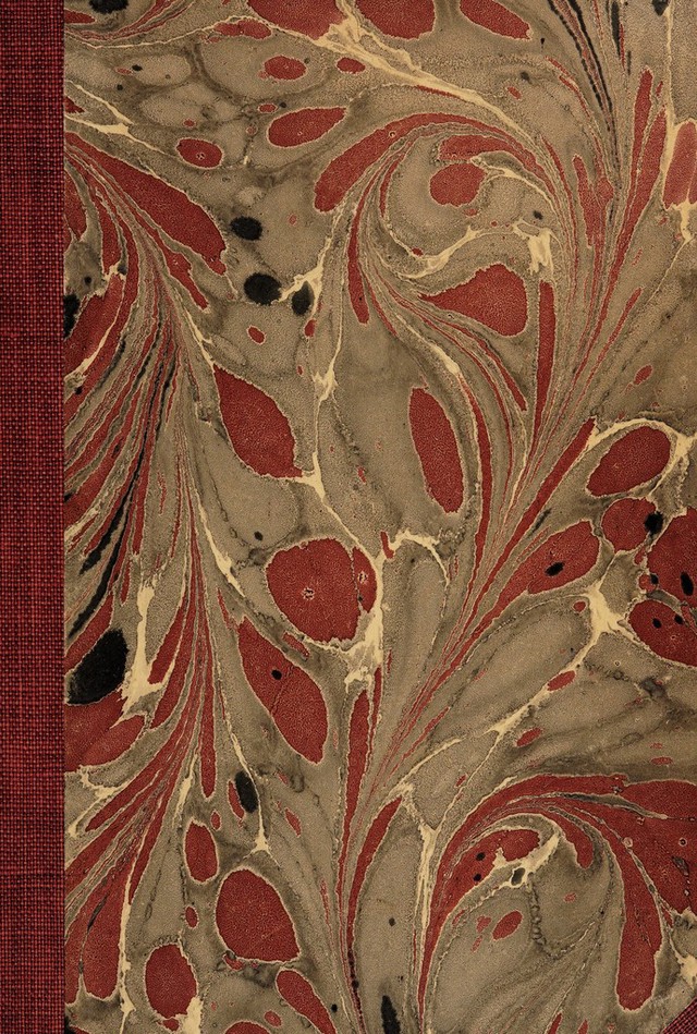 digitised image 1
