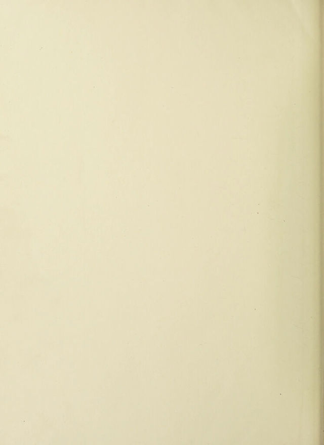 digitised image 3