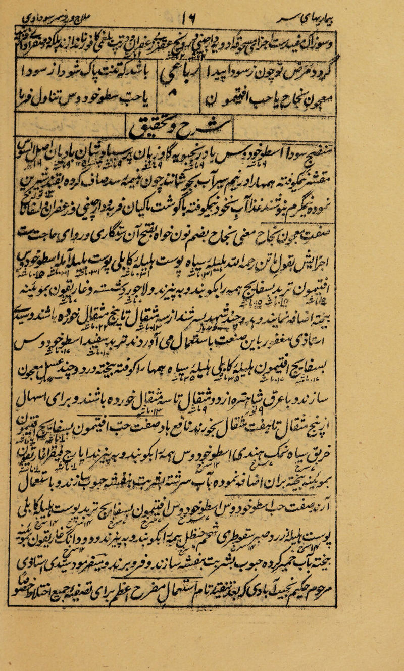 No text description is available for this image