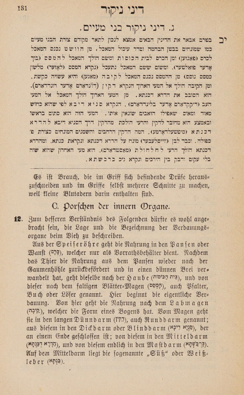 131 דיני ניקור ג. דיני ניקור בני מעיים • י כ בטרם אבאר את הדיני־ן הבאים אמצא לנכון לתאר מקודם צורת הבני מעיים כמו שמונחים בבטן הבהמה ומדר עיכול המאכל ♦ מן הוושט נבנם המאכל לכרס (פאנזען) ומן הכרם לבית הכופות ומשם הולך המאכל ל ה מסם <בוך אדער פזאלטער). ומשום ששם המאכל נתעכל (נקרא המסה (לאזער) מלשון כמסם נוסה) מן ההמסם נכנם המאכל לקיבה גמאגען) והיא עשויה כקשת. ומן הקיבה הולך אל המעי הארוך הנקרא דקי ן (דונדארם אדער דונדדארם). הוא הסובב את הדרא דכנתא. מן המעי הארוך הולך המאכל אל המעי העב (דיקקדארם אדער בלינדדארם). הנקרא ם נ י א ד י ב א לפי שהוא כחוש מאוד ומאוס שאפילו הזאבים שונאין אותו. המעי הזה הוא סתום בראשו ובאמצע הוא מחובר לדקין והדעי הולכת מהדקין דדך הסניא דיבא ל ה ד ר א דכנתא (מיטטעלדארמע). המה הדקין הרחבים והשמנים המונחים כצורת פ׳■ כפולה. וכבד לבן גווייסלעבער) מונח על הרדא דכנתא ונקראת כנתא. ומהדרא דכנתא הולך הרעי ל חלחולת (מאסטדארם). היא מעי האחרון שהוא שוה בלי עקום ודבק בין הידכים ונקרא ג״כ כ ד כ ש ת א. (£3 ift Brand), bie im ©riff fidj beftnbenbe £>riife prang* gufd^netben 11 nb im ©riffe felbft mepere ©dpitte p madpn, tvtil Heine SÖUtiabern betritt enthalten ftnb. C. porfdjen bev Innern ©tgane» IS. 3um befferen Betfiänbnig beg golgenben bürfie eg roop attge» bradjt fein, bie Sage 1111b bie Bepidptmtg ber Bcrbammgg* organe beim Bie!) p befdpeiben. Sing ber ©peif erijpe gep bie üftapnng in ben $ an fett ober äBiinft (ים?), melier nur alg Borratpleplter bient, ^ad^bem bag £per bie Bapung ang bem Raufen tot eher nadj ber ©anmenppe prMbeforbert nnb in einen büttnett 33ret ber־* roanbelt pt, gep biefelbe nadj ber §aube (׳(?גית הכיסוח unb oon biefer nadj) bem faltigen 33Iätter3־־Jtagen (ל:^ם), and) Bfalter, Bndj ober ßijfer genannt, ©ier beginnt bie eigentliche 35er־* baunng. Bon per gep bie üftapung nadj bem Sabotagen (י)י?ה.), melier bie gorm eineg Bogettg pt. Born OJtagen gep fie in ben langen®iinnbarm (W), and) ^tunbbarm genannt; ang biefem in ben 3)idbarm ober Blinbbarm (יא לי?א^), ber an einem ©nbe gefdpoffen ift; bon biefem in ben BMttelb arm (דוךךאךפ^תא^ unb ^on biefem enblid) in ben Biaftb arm (וךכקזחא). Stuf bem Mtetbarm Hegt bie fogenannte ״©üj3 ober Söetp leb er (»W.