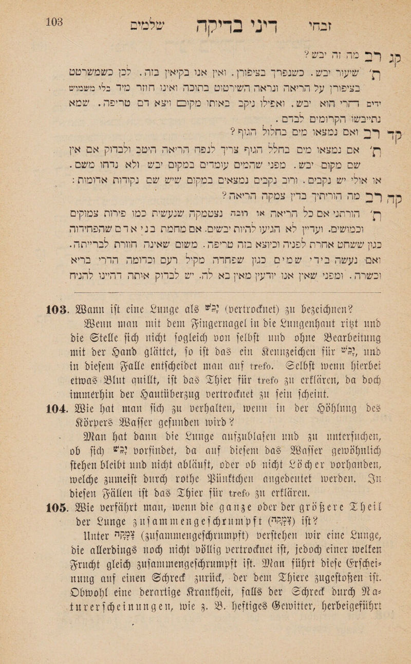 דיגי בדיקה שלמים 'כחי 103 קר ףד מה זה יבש? p' שיעור יבש. כשנפרך בציפורן. ואין אנו בקיאין בזה. לכן כשמשרטט בציפורן על הריאה ונראה השירטוט בחובה ואינו חוזר מיד ילי משמוש ידיש דהרי הוא יבש. ואפילו ניקב באיחו מקוכם ויצא דם טריפה. שמא נתייבשו הקרומים לברם . ) ףר ואם נמצאו מים בחלול הגוף? p, אם נמצאו מים בחלל הגיף צריך לנפח הריאה היטב ולבדוק אם אין שם מקום יבש. מפני שהמים עומדים במקום יבש ולא נדחו משם. או אולי יש נקבים. וחב נקבים נמצאים במקום שיש שם נקודות אדומות: הה רד. מה הוריתיך בדין צמקה הריאה ? ׳n הורתני אם כל הריאה או רובה נצטמקה שנעשית כמו פיתח צמוקים וכמושים. ועדיין לא הגיעו להיות יבשים. אס מחמת בני אדם שהפחידוה כגון ששחט אחרת לפניה וכיוצא בזה טריפה. משום שאינה הוורת לברייתה. ואם• נעשה בירי שמים כגון שפחדה מקיל רעם וכדומה הדרי בריא וכשרה. ומפני שאין אנו יורעין מאין בא לה. יש לבדוק אותה דהיינו להניח 103. Söctmt ift eine £unge aU ^יי (oertroefuet) gu begeidjnen? Senn mau mit öem gingernaget in bie Snngenfjcmt rißt nnb bie ©teile fief) nic^t fogleid) Den fetbft nnb ohne Bearbeitung mit ber ©anb glättet, fo ift ba§ ein $euugeid(jen für ׳י?'ש nnb in biefent gatte entfdjeibet mau auf trefo. ©etbft meuu hierbei etma§ ■33111t guittt, ift baö Xt)ier für trefo 31t crftären, ba hoch immerhin ber öautübergug oerirotfuet 51t fein fdfeint. 104. 2öie bat man fid) p !)erhalten, meint in ber ®öfjtuug be§ Körper? BBaffer gcfuuben mirb ? Blau t)at bann bie £unge aufgublafeu nnb gu ltnterfucfjen, ob fid) oorfinbet, ba auf biefent ba§ Söaffer gemobnlid) fteben bleibt nnb nicht abtäuft, ober ob nicht £od)er oorbanben, metdje gumeift burd) rotfje pinfteben angebeutet merben. gtt biefeit gatten ift ba§ X^ier für trefo gu crftären. 105. BMe nerfäbrt mau, menu bie gange ober ber größere Xt) eit ber £unge gufamntengefd)rümpft (חה??) ift? Unter קרי#? (gufammengefcbrmnpft) üerftef)cn mir eine £unge, bie atterbing§ noch nid)t oöttig oertroefnet ift, jebod) einer metfen grucht gteid) gufammengefcfjrumpft ift. Bian führt biefe (^rfdrei5 nitttg auf einen ©dfreef guritef, ber bent Xf)iere gugeftoßen ift. Obmobt eine berariige tranfbeit, fatt§ ber ©djredf burd) 91 a* für er fd) ei nun gen, mie g. B. heftige^ ®emifter, berbeigefitbrt