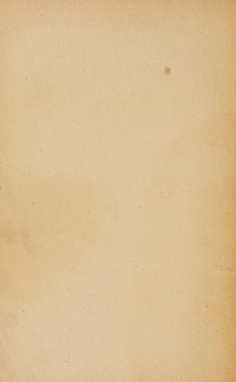 r י ! י .׳ ■1 ■׳/ % , e וי • •׳ V ■י * י ־ י י ■ \1 •י