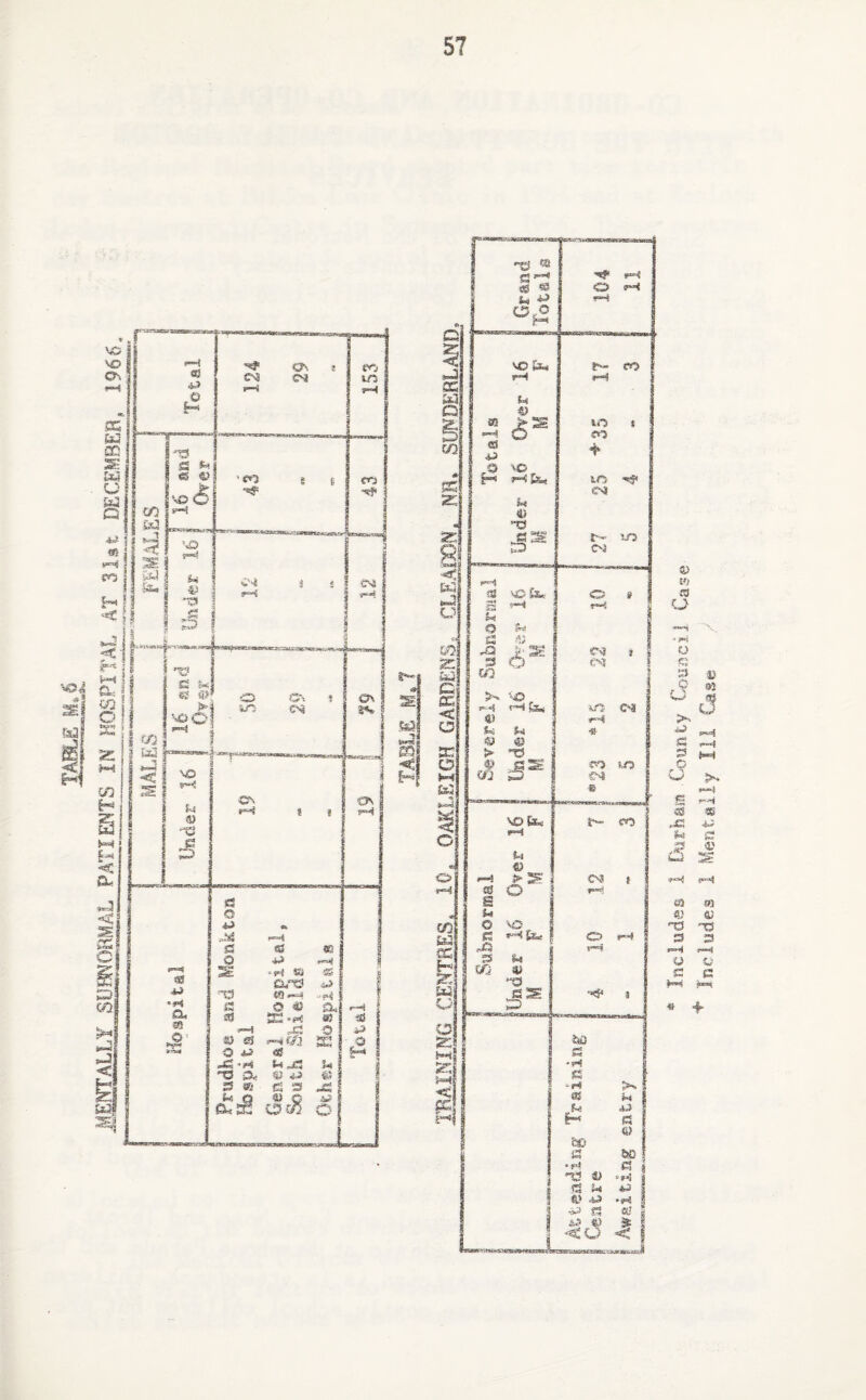 <y Hi a * + Includes 1 Durham County Council C Includes 1 Mentally Ill Case