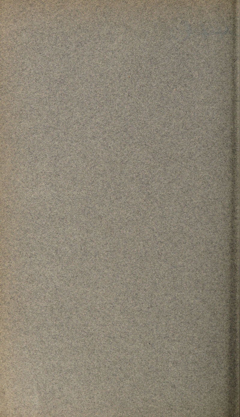 • - . &-&A? -V. \ ,:;y. ■ ■ . : ■