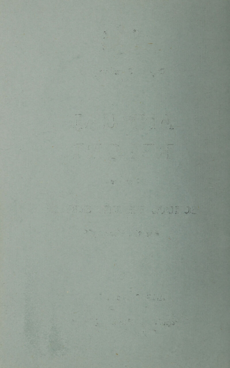 s fc-'s t '.a\- ■)\1> Xt % /