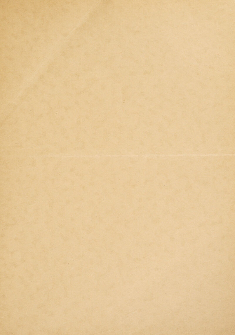 ■ '''-v • 'y ^. V-: -;_;^‘.-- III##' ■../  ■'■ «.-■ • , ■ •>£;.' ^ ; ■.; - '-‘■' - --V ' ';4 '<4 •'5^ -.-■ »-■; M ' --‘I.. 4 ■3=^'* ■• . ir^ .«”•■' .