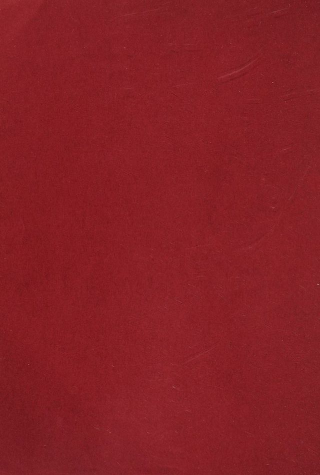 digitised image 2