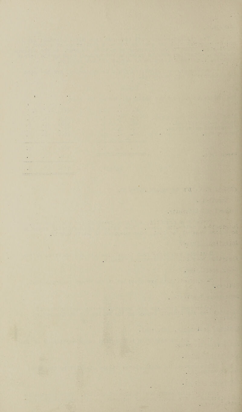 /■ I ]t ..«:v .j > M i t \ K i '!• r- ‘•t • T »A \ \ i 1 4 ' ./ ■ .I ■;. { <’ { i \ A