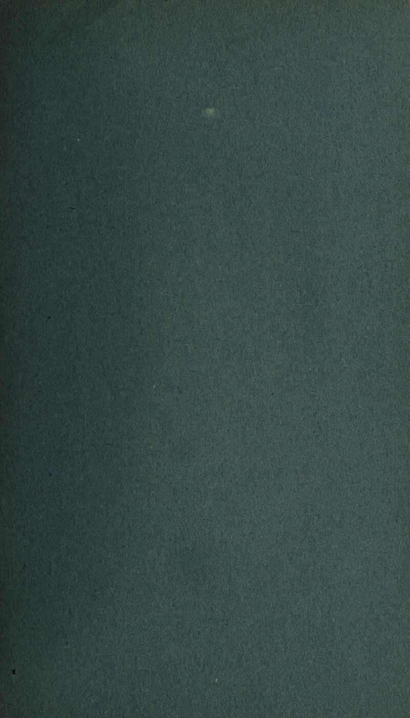 mm* 'vV\V. -TV1 : i ■•, f* *.. .... • : .)•.:.* ■ graft® v;V \ ■■■? t, •■■'. ■ M ils : Ml’/ 1'^ '-'Vj.fi' y'^'vvv .,.,11 ... ■ ■ YbV ■K i i ■ ' ' 1 ■'* ■ ' ■K1. VV- ' • ' i& ■mwrnw ^.wfcK&g M® ;# »-&wjM5£. V& <£- »*.;?:* «-••• •** -:-v.-.y v-v •;•. y.*;$ JUmA&BZi ■’■ \Kl '■'■■•'■'•>.■ ,V-'- ..•■*'•■. •■• ,f. V ...' ■ r • v-?i •.•. • -A.”. '.. <.* ' >> ;'v‘. ;-v. . ' -V: jv' > , VV ■- •I -i vtesvM 5* 4 • • ’Xv‘ .t' v - • '*; ’ . . ■ i ? . ■ fe-'V ■/ ;^(i. v:. - • •■ 8^58*^ -v-v i - ,.A #v;-r ■• ■; ■ m ■ Vmir-M ■ ■wv' 7^77 - ■• - v '' '■ ■- VV;/■■yV; i'ifVyV '.'V'Vy%V.,,';i V;4i'V; #\ ;:$f, Vi-.;, i. \ ; :■*>’ ^ :v-,,<v;‘--''-'v5i v'i V'’'* ^IS*S . ' • V.* * 7 ?• ■ ’ ■. V . ■ '•n •-.'... : - v . tv, .. . • • ■* ■ v4-;' f • ?v« ' H > '' ' VV'Ci'f ■ .;v «v-'| ■ . m- mm. mm mm it ■ FJi ■ ;■ \ ' -y- • 'V. 1 ' •-/. ■ ...... , ■ ■, ... ,... ,. ,.> ;■■■•■ • .•. ..... .,- , •„» VViiiy ■ • .. msxx ■ ■ ' • , v ; ■ - . ' ' ■ : ■■vu-.f y',-.' y., pVrvV.«|VS,:V:V--, v “ ■ '■ m • ■ ••• •' ^#«> ; ,:■ ■ : ■ '■• IJ-*.' v.■;>*■* V- - •: • ' -V; ;•' - , v frv 'V1,. »S»..;‘^lKBV.r •. ■ ■ v.