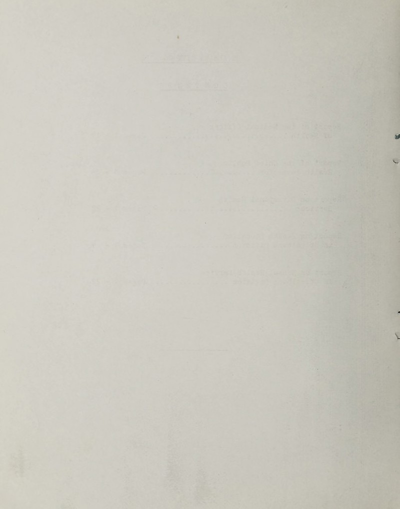 •ft - -■ '•i?s ,'_i<^^. • ■• -rt - ♦ • • ’ ‘ i • ^. V ■* *■ I'ty'jfiftsi 4. - ;<• u^' '>k-, . 1* .%V .7- ■ - - • . 1V.'. ’pi •f .,,'^\ * . if. ' ^ ri? ^ •.:\1 '■‘is ~*-. t?**-*^ *4. Vi u < • . Af ' -tJ ' '^' *:*•'■•'■■' :c'' -'1^ - r' Vi*-. >• • \ ' Ai' -.;{•» V 3- w' «. * ^ « I- ^ ;-r . V'{ - •' ► f , .i5*.* i. '■''<4 •’■ M'- I •#! • •■e. *. 'J^S ' ^ ' » * # •v • - -»* %. T' V ■ -'■■ .T : -: . ' • J. ■a*'. * * >'*,-i » ■}*--. ---, • .. . >.?.-^ ’ \n. / ’■ 1%,? 'V-. i..' iv'f • .. V ^ <.