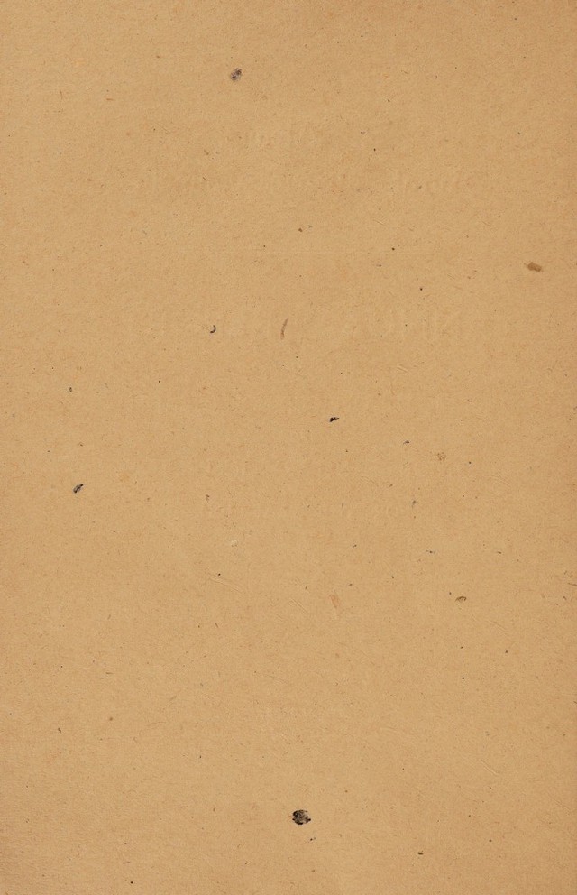 digitised image 2