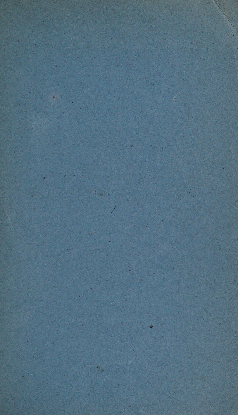 t- t: \ f '• i''» '• ' ■ '3M  U o--. - ■ ■'■ '■ ■ ■’'^' ' '■' ■-'• -'- -» ■>' V 4 ■ i V a a ' -ir j •? 1 >■( / ' -f ^ r. ‘ ’ ^ ' '‘■4< a • J’-K J. 