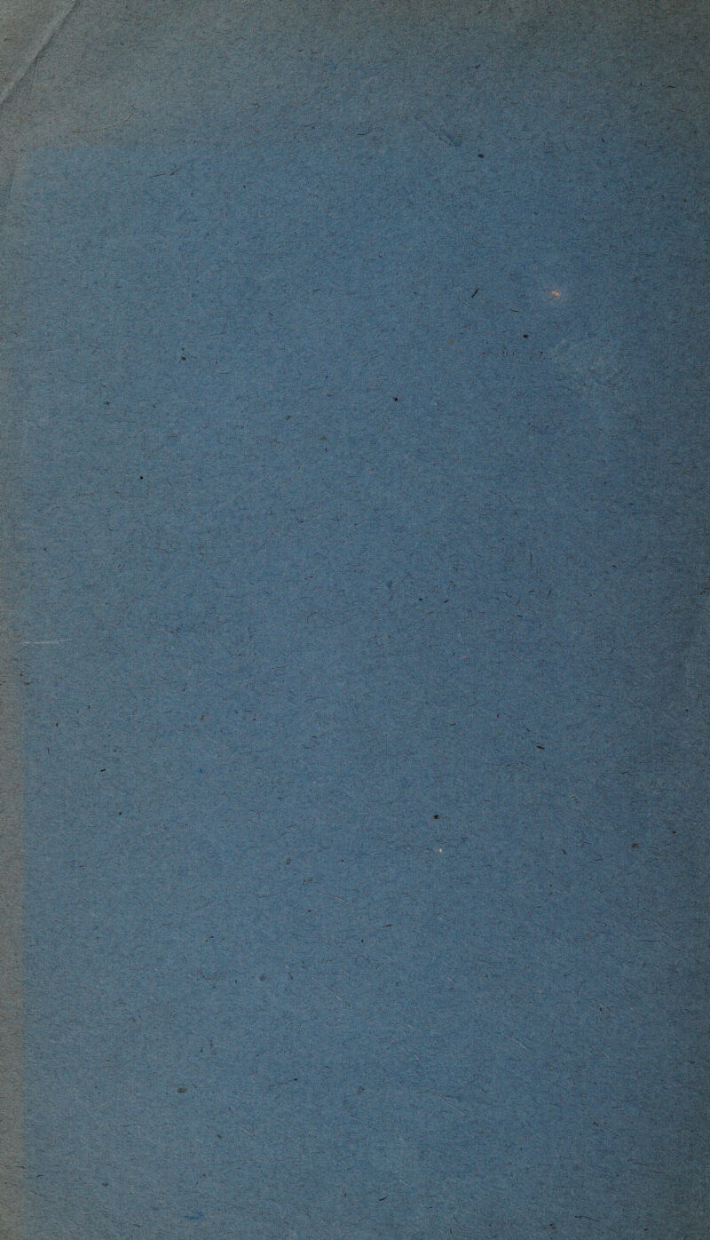 .•/ '. / •* -- / V:.