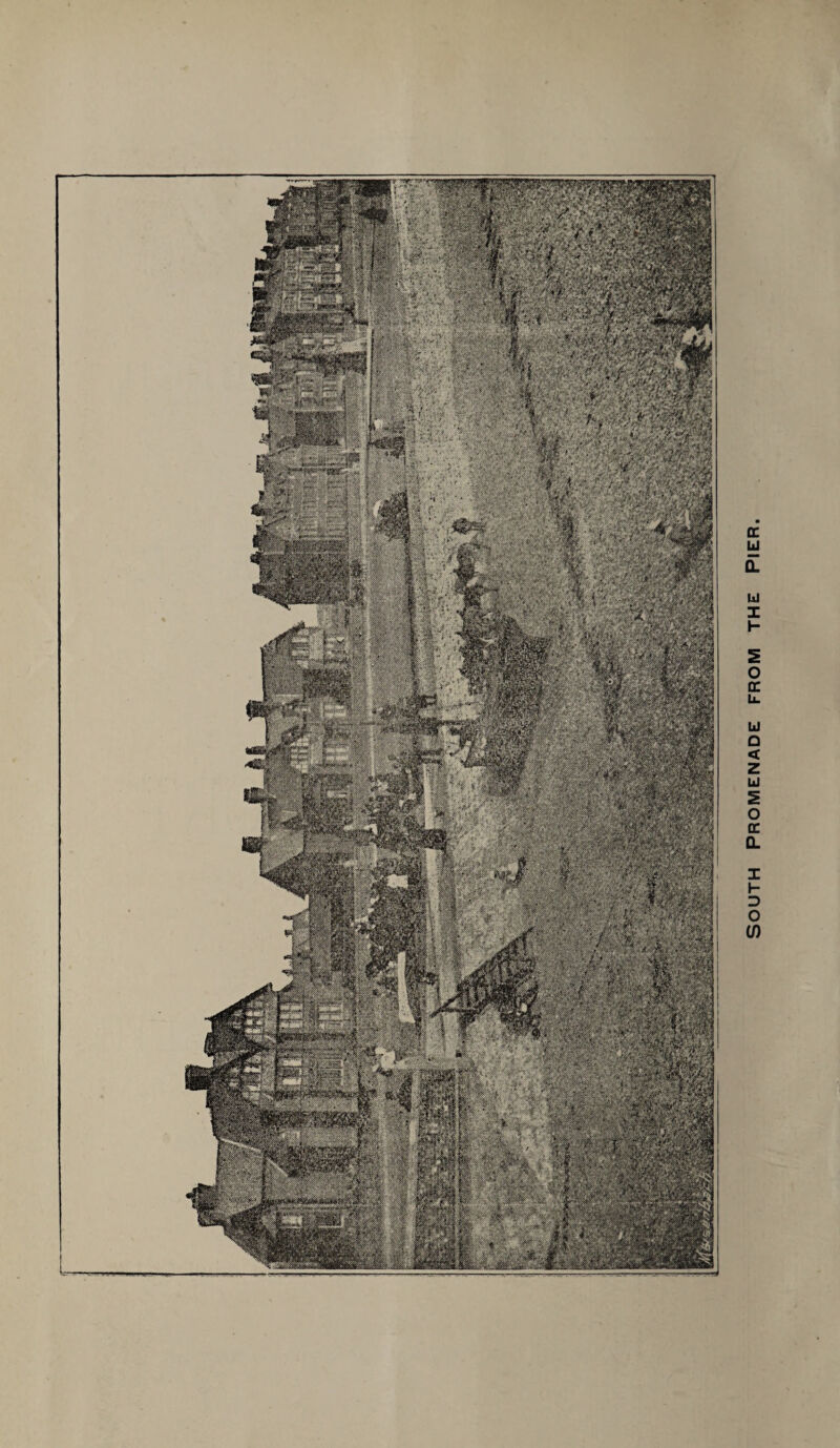 is® imb mm \ * i.in,*? ?f :^lm’kmm 'Wk^fm |.:‘^'>f.vir South Promenade from the Pier.