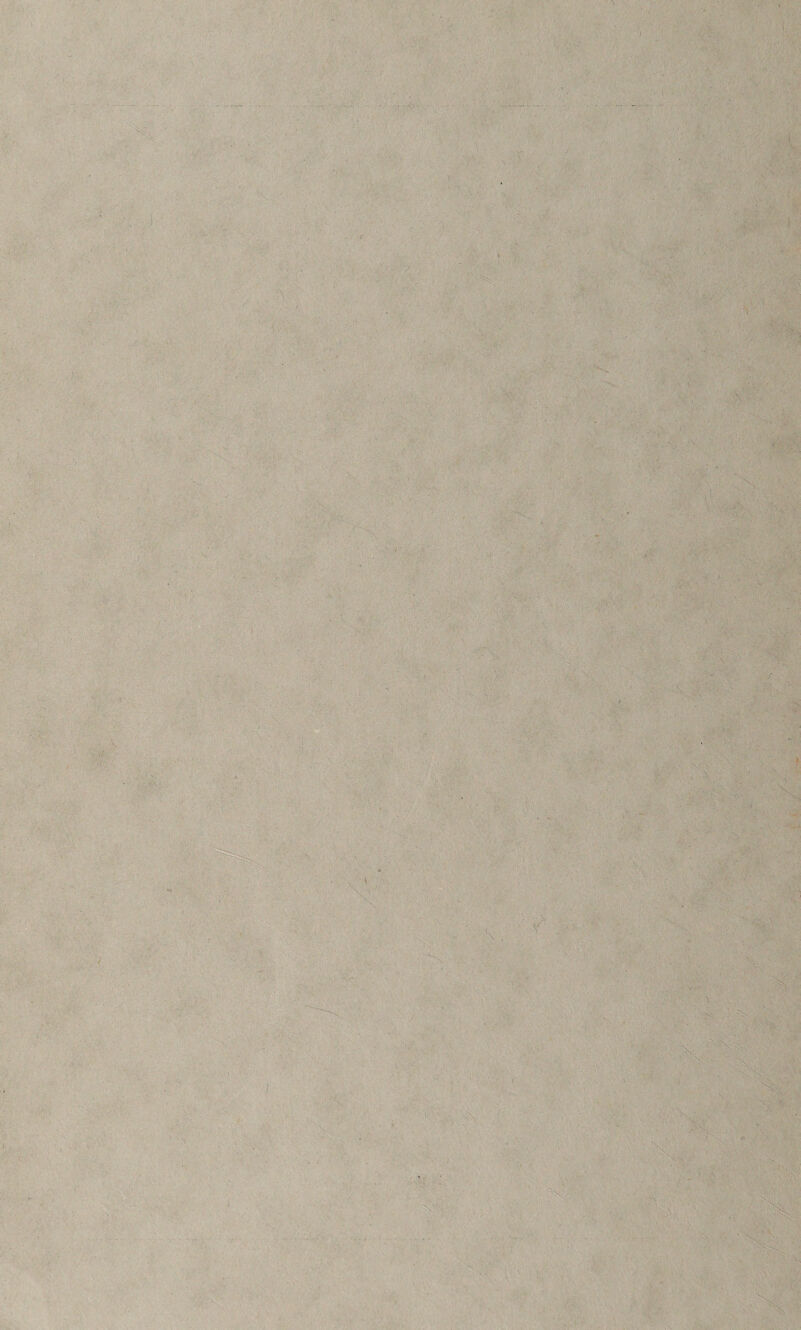 t ; • 1 X ' -';c -■V- t-'-' :: ( ’ \ N, ■\N ■x. /