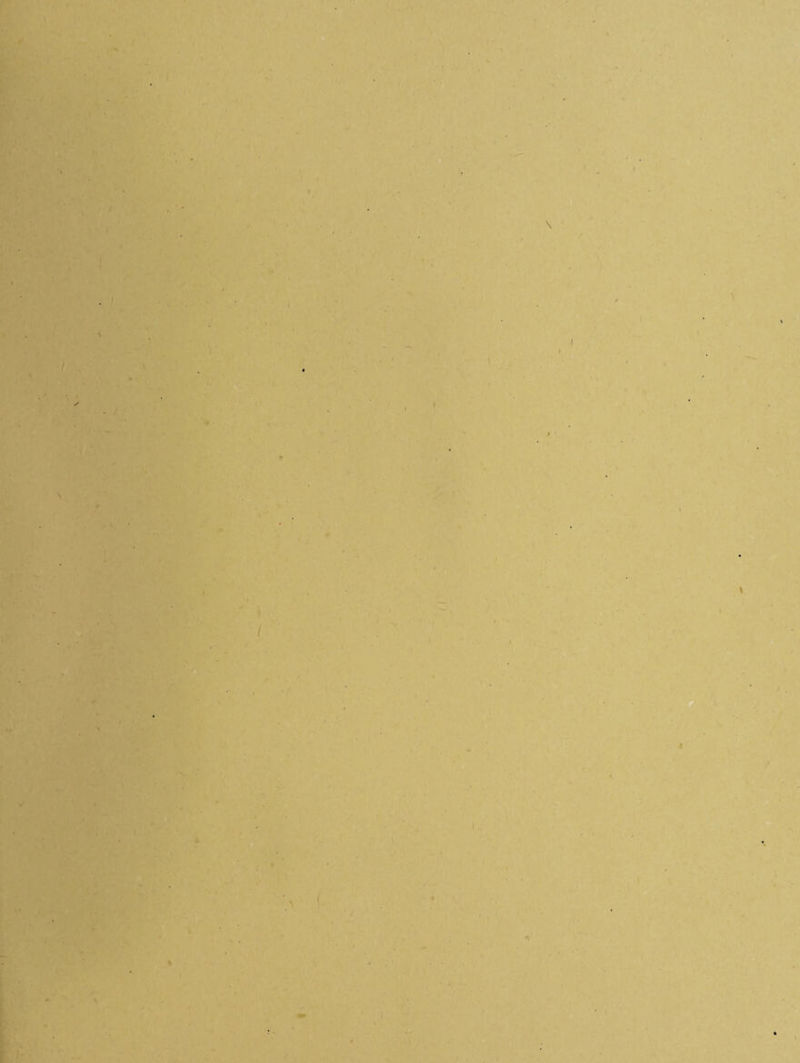 / \ ' i' 4- \ f i ’^9 \ \ I I I I % t \ ■ r r I i /. 1 I I /, ■/ . -4