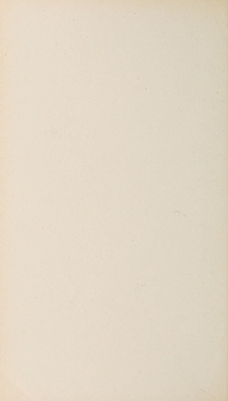 ^ ^ ' i i * ■ . \ :■ ■ • '--I > 1..*. tv f I 7 I / It' >- •