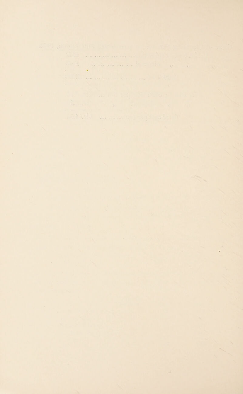 4 T i, V I* 1. y (■ Cl N \ . . . \ \, V \ \ W.. 'X. .I ■*» \ N X V V '• V \ ■- <. s « a \ N \ »• f 3% -