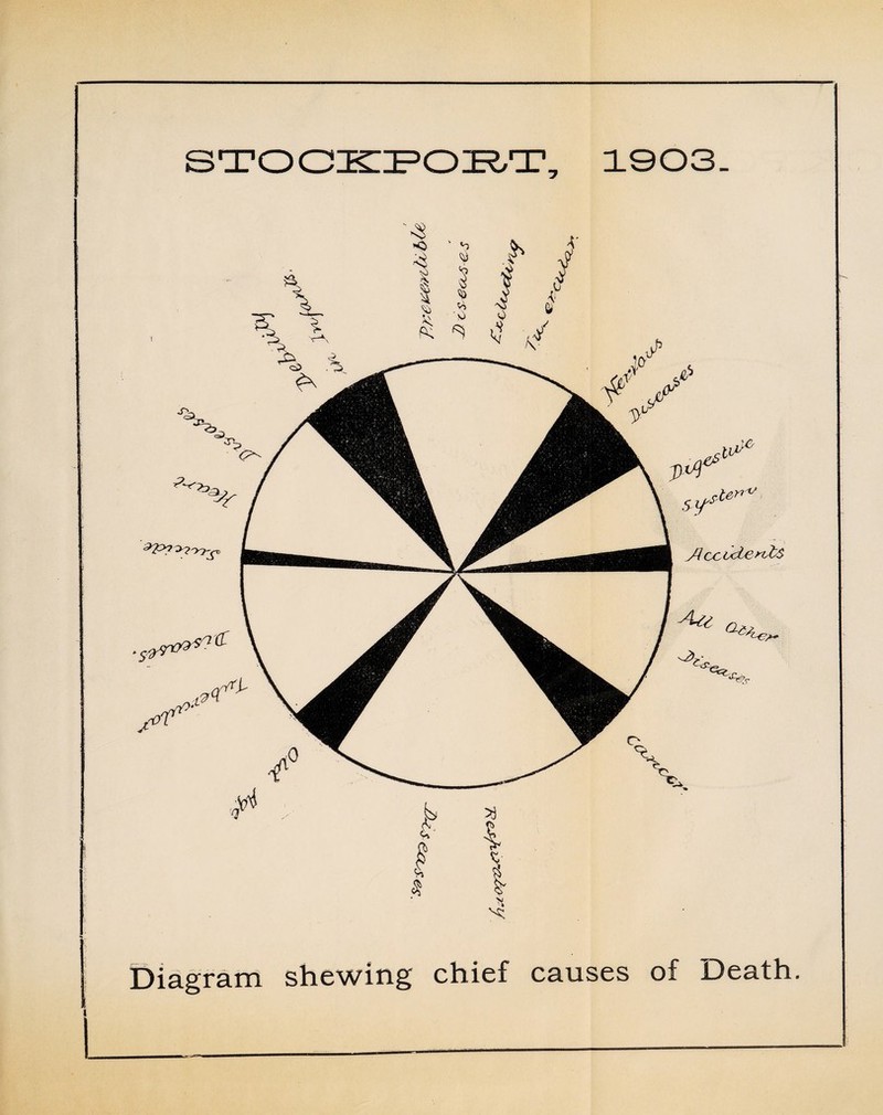 Diagram shewing chief causes of Death.