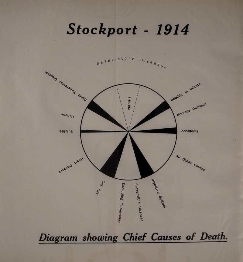 Stockport - 1914 3 Diagram showing Chief Causes of Death.