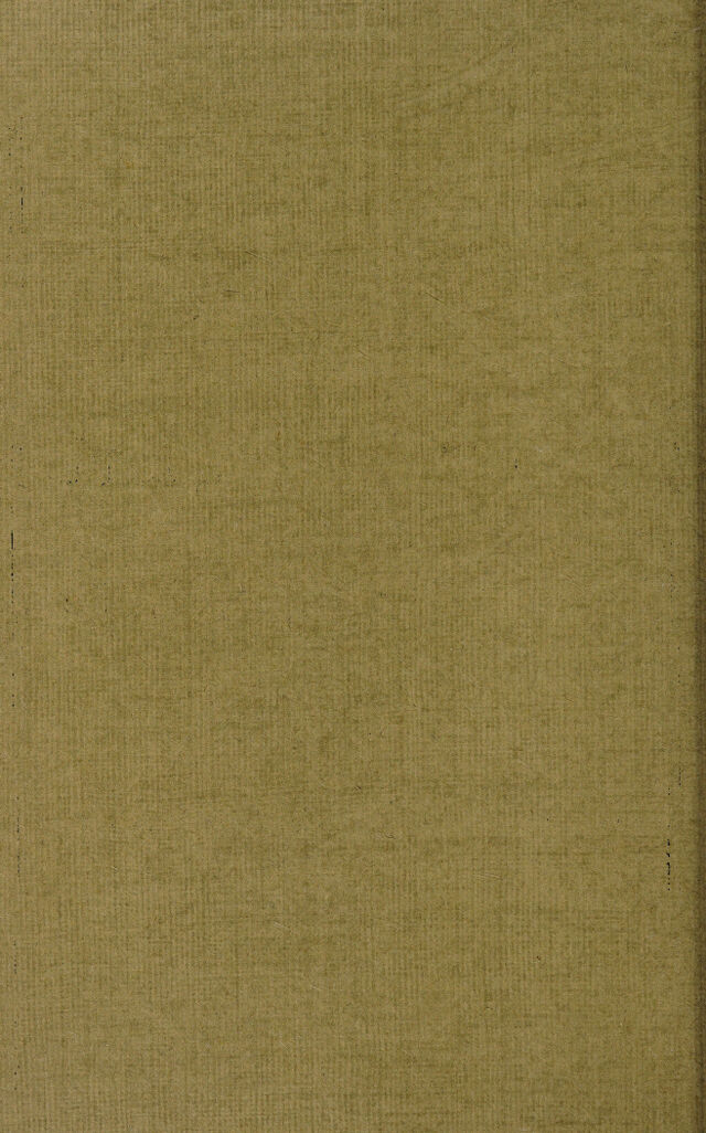 digitised image 2