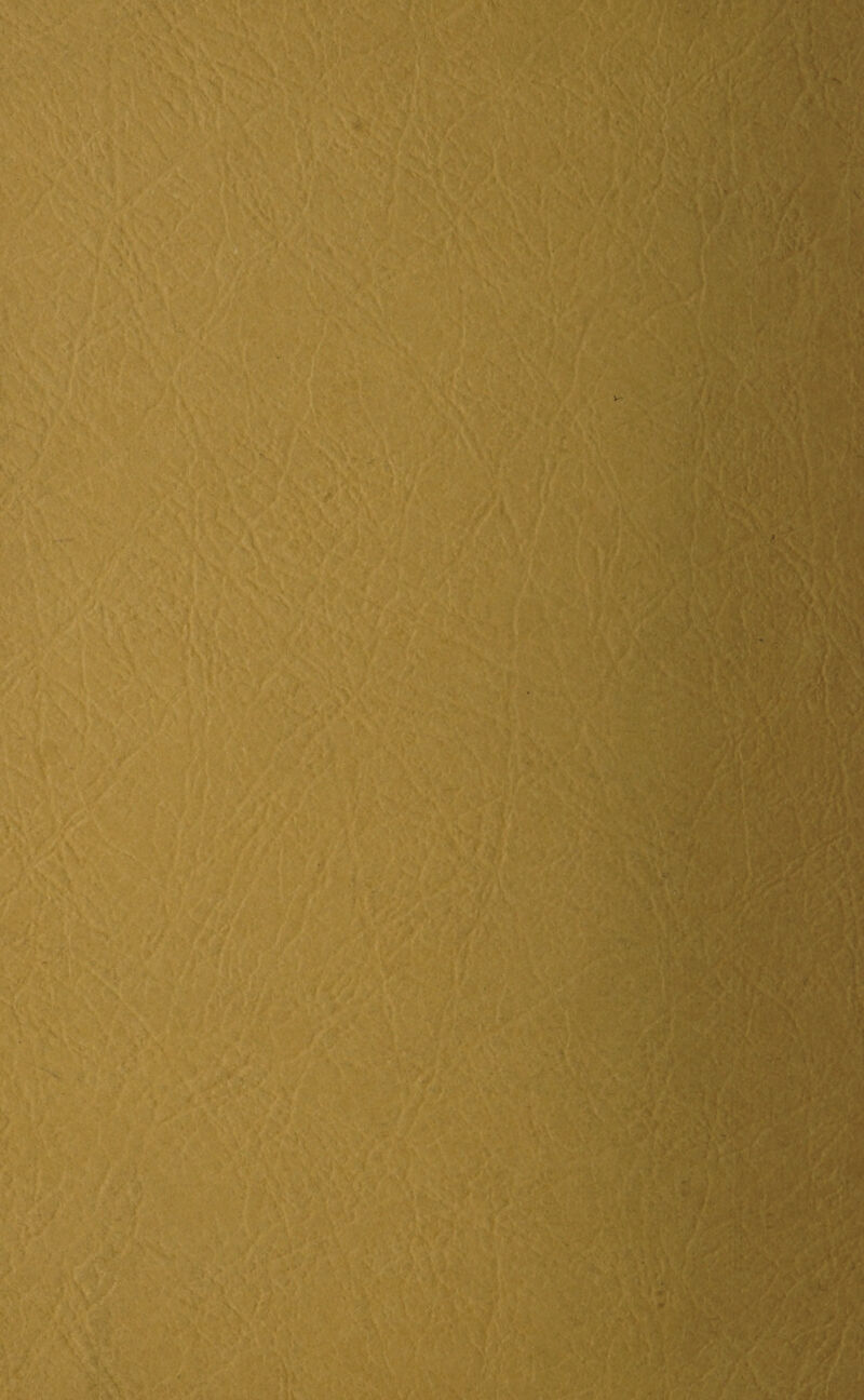 mm \ V. V' - W M <i. \ v •. , >■ ',Ar. i ' K- * t Sk 'H' i it 5