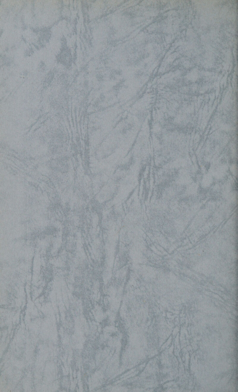 2 Senior Additional Sanitary Inspector R. A. LAW, Cert.S.I.J.B., M.S.I.A., CM. & F.I. Additional Sanitary Inspectors P. M. DALE, Cert.S.I.J.B., M.S.I.A., C.M. & F.I. I. JONES, Cert. S.I.J.B., C.M. & F.I. Pupil Sanitary Inspectors R. HAYWARD T. C. POPE Dental Surgeon A. V. YATES Dental Attendant Miss J. CAPPER Senior Health Visitor and School Nurse Miss E. M. CLARKE Health Visitors and School Nurses - Miss A. HAWKINS Miss N. MACGREGOR Mrs. M. McCADDEN (part-time) Miss W. PARKINS Miss C. J. THORN Mrs. J. D. WALL Domiciliary Midwives Miss J. E. BLOCK Miss R. E. HALL Miss M. HOO Miss M. M. KENNEDY Mrs. M. MAYNARD Mrs. H. M. MORTIMORE Miss N. NEAL Mrs. G. M. TAYLOR Matron, Day Nursery Mrs. A. DAVIES District Nurses Miss E. E. M. BARKER Mrs. A. B. BUSHNELL Mrs. E. M. EGGERS Mrs. F. HISCOCKS Miss E. M. HULBERT Mrs. V. M. SELWOOD Miss L. M. SHEPPARD Administrative Assistant and Chief Clerk J. W. DAY Senior Clerks J. R. PELL