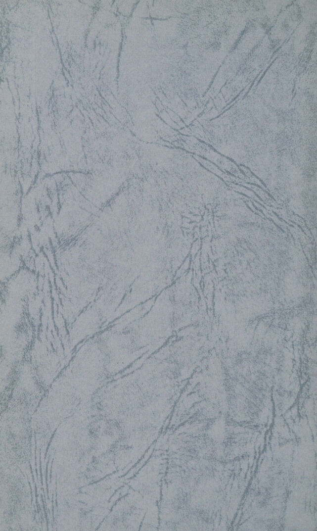 digitised image 2