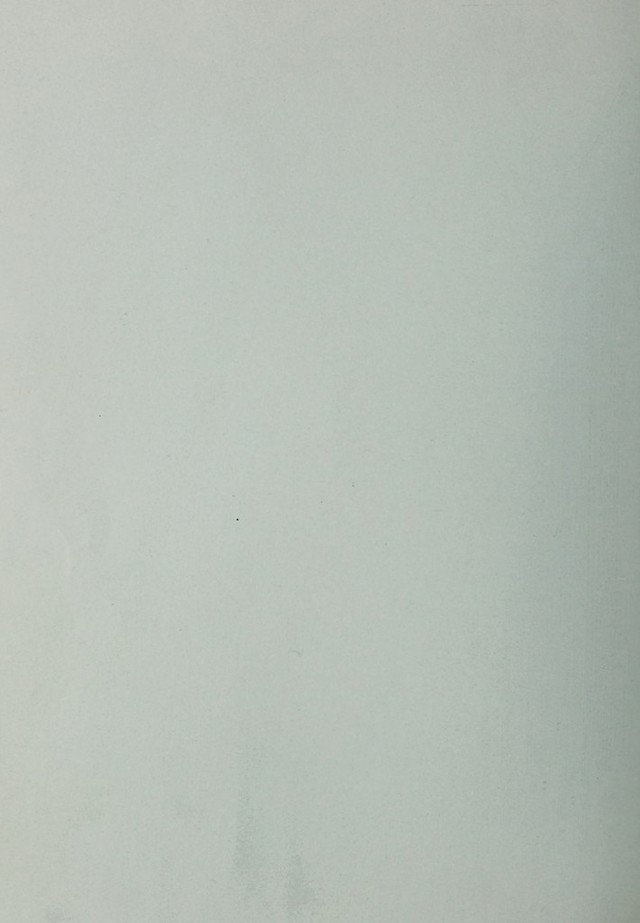 digitised image 2