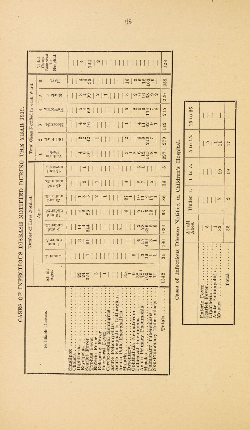 CASES OF INFECTIOUS DISEASE NOTIFIED DURING THE YEAR 1919. s