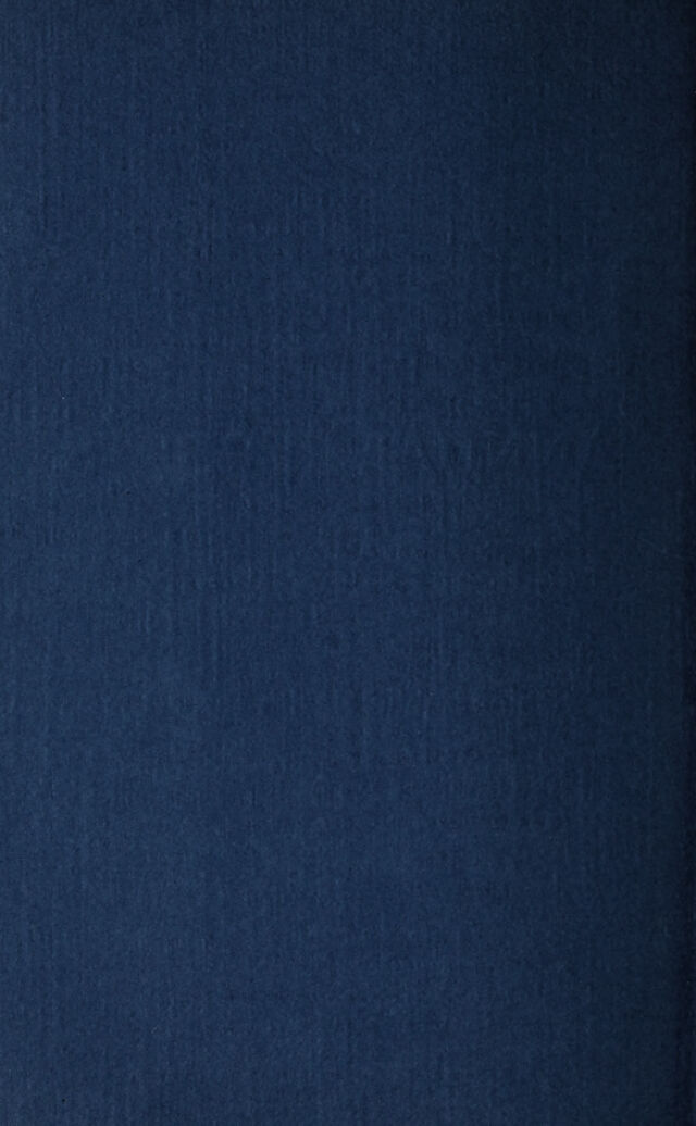 digitised image 2
