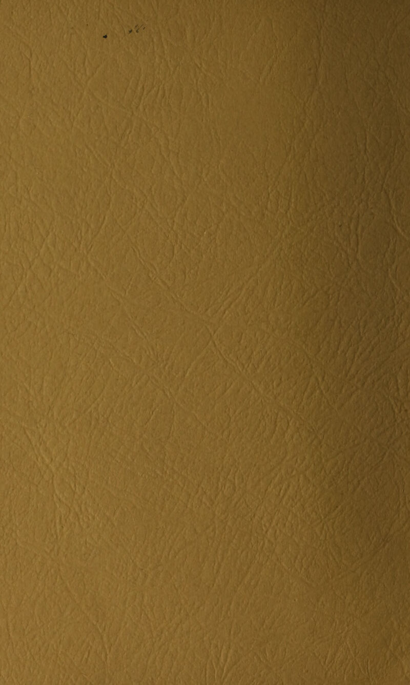 , (* / ■ > I / M,// 'It' .• • > / # /vVv !vy i > , ' *7i Tl , • f \ A7 > > *i Is®