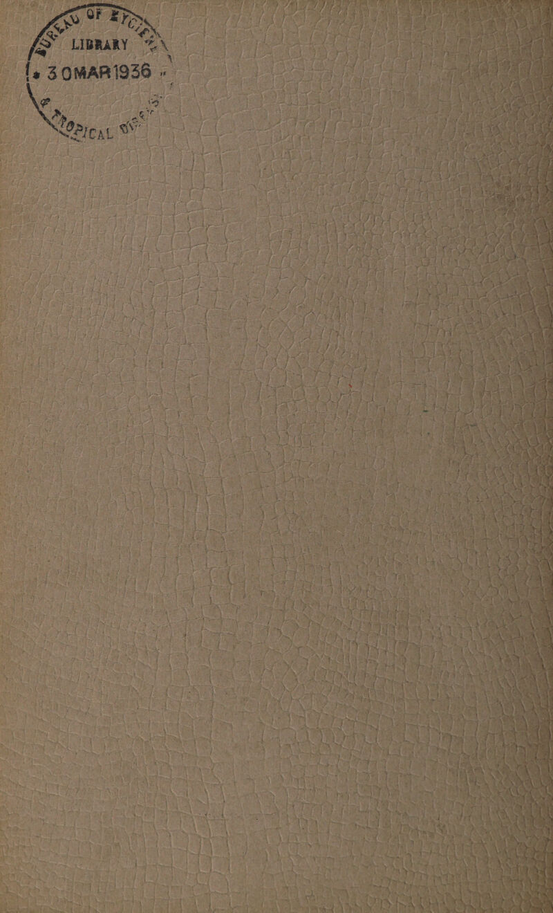 !* 3 OMAR 1936 M * . \ Wfm >• & -<■ ; J ■ ' / : , i-.; - ■, - - I , : . - A; - J .-r I . i . ( 1 . < <sV j.-;*. v—3R# ';' I ' i :/ ' ' ’ • . r :> :■ yi“ j * ; • V. !-r. v; ' f ■ •: i - V ' - -'i 1... .1 •' ■ ! * >■ V LV; Ip v ... ;.;••• .i r ■- .;• v.. ■ S .. '-J' ? •. v. ■ ' ■ • ■- \ • A : ■ >■ M&?; j ... v ( * 1' I V \ ! i I ■ ‘ V ■ * ’ ■ • t : ' . i 1 V ' ■ !■ ■ . : •• ‘ . . I * ! \ , . ' -- -t • fr 'f-. ■ . I • ■ ■} \ • . i ... i •••• ; * • t .i. : VlI ■: • ■'' . i j ' *:r*9 . (, ‘ V'^ *£ ***•{•'' • • . ■ ■ ' n 1 1 ‘ S L . rTv.V: : y-il 1; (- • i L -?•- > * i . • ' • A- i ' ‘ r ' . T ^.v 4 ■ ' ■ , •. : , V- !'v ■ • V -rf i : r '■ ■.. . 7 TV' * V' ?iVTHi •• kK .*?*:$*'' ' lv ’1:4