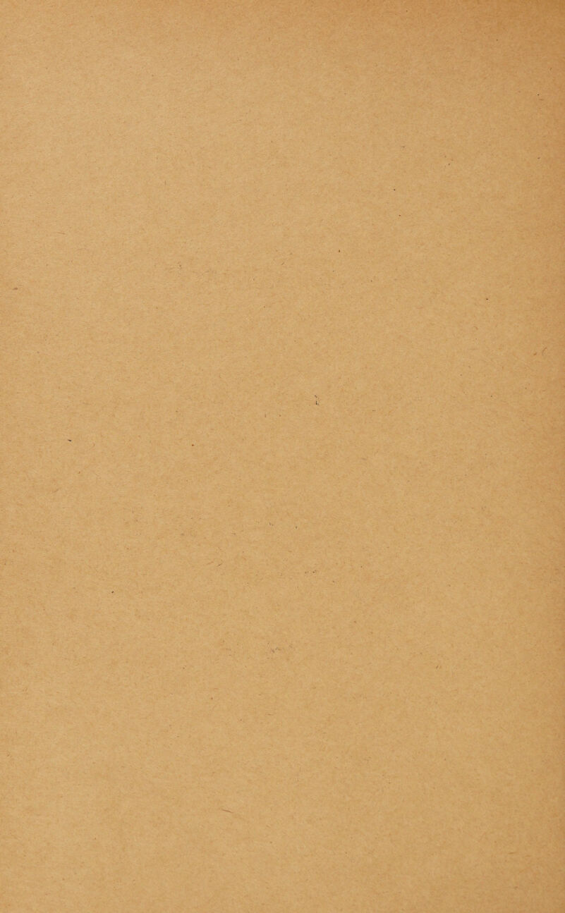 ■ : -'H ■ ' . \ l - ■ - . • -V . ■ •X-. .-••• , . V