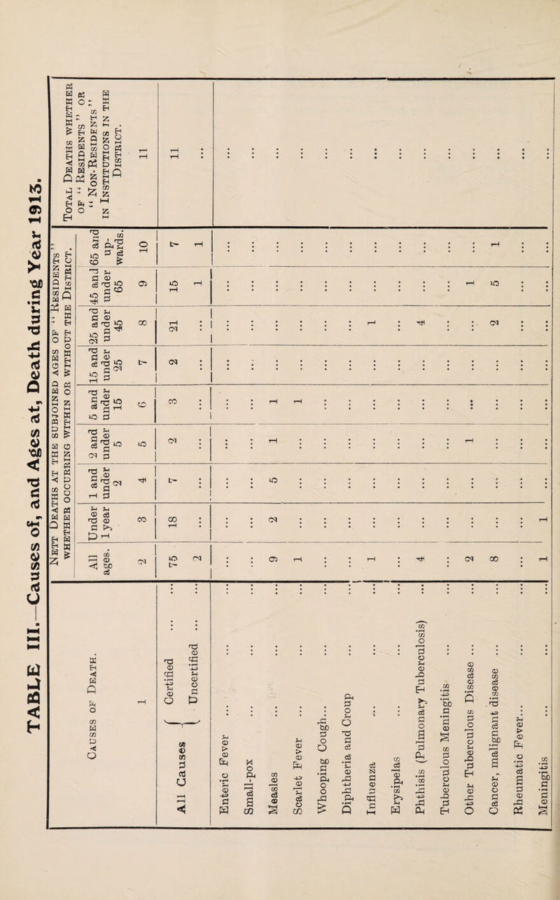 TABLE III.—Causes of, and Ages at, Death during Year 1913.