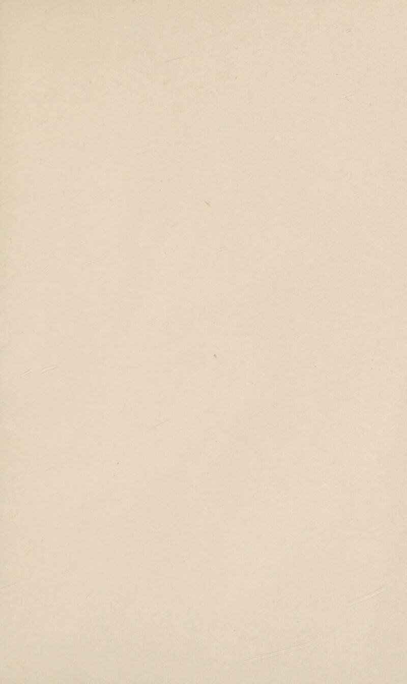 Lf.-- • ■.^^- g wAv •';' '■. V ■> s's:' : sm - ’. ' ' • •;■■ J?: J.-■ f v'l<(.-'• ‘ ■«• i ■ r.- *» 7 y ' '.•'If m . •i. ^-.K- '''■' '7'.‘'-vfc,*' >'■’■ '.v ■ • • •» “. v ■ . If ■ > • -' ■ “' ■ .. ..*—7. .:-- .>v. ’ • •' ^'’'’ '-i^''' . *,'>'^ >* #-..••• ^* , .V *<'x 4 L .*■ ,u • *■•• • ' .. * '! v3r ■'■■ t  ' \‘'-* ^ , • i* *•' ' ''  ■ ■' Sr ■'■ -■• v^vv ’ ‘ ■ >^r . .k :^^:r - L* ■>•'■' ' .J - %: < 1 V.‘ A > '■. .* •' (. E^Wi